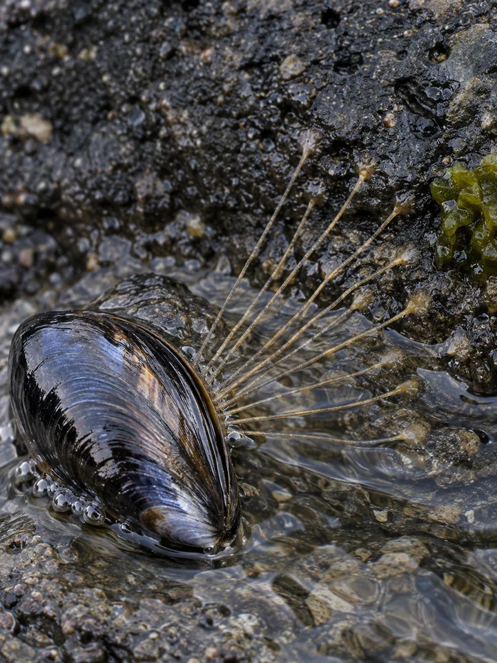 Thirteen Threads Against the Tide